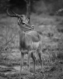 Student portfolio work - ADMI Student