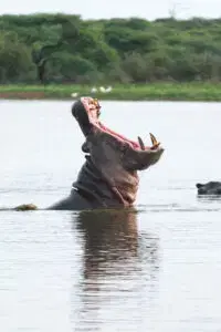 Student portfolio work - ADMI Student