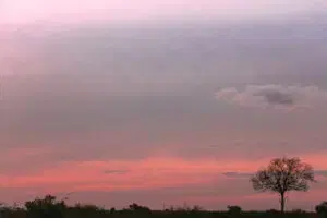 Student portfolio work - ADMI Student