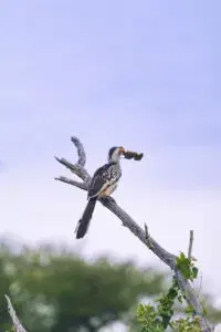 Student portfolio work - ADMI Student