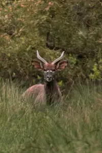 Student portfolio work - ADMI Student