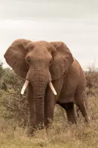 Student portfolio work - ADMI Student